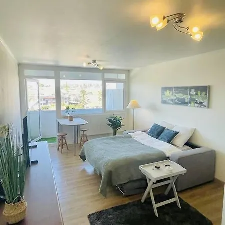 Apartment Geneva Airport *